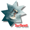 surf.gif (5948 Byte)